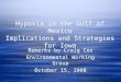 Hypoxia in the Gulf of Mexico Implications and Strategies for Iowa Remarks by Craig Cox Environmental Working Group October 15, 2008 Remarks by Craig Cox