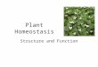 Plant Homeostasis Structure and Function. Flowers Organs of sexual reproduction in plants