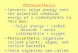 Photosynthesis Converts solar energy into the potential chemical energy of a carbohydrate in this way: Solar energy + carbon dioxide + water → carbohydrate