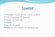 Tawhid Tawhid: Faith in the Unity of God The meaning of Tawhid Kinds of Tawhid Shirk Kinds of shirk Effects of Tawhid on Human life