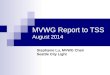 MVWG Report to TSS August 2014 Stephanie Lu, MVWG Chair Seattle City Light