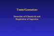 Taste/Gustation Detection of Chemicals and Regulation of Ingestion