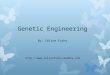 Genetic Engineering By: Céline Fuchs 