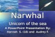 Narwhal Unicorn of the sea A PowerPoint Presentation By: Hannah S. (18) and Audrey F