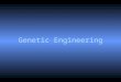 Genetic Engineering. What is genetic engineering? Application of molecular genetics for practical purposes Used to – identify genes for specific traits