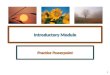 1 Introductory Module Practice Powerpoint 2 Highlighting When an important term or concept is presented in one of my powerpoint presentations, it will