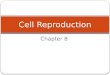 Chapter 8 Cell Reproduction. Chapter overview 3 SECTIONS: SECTION 1CHROMOSOMES SECTION 2CELL DIVISION SECTION 3MEIOSIS