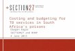 Costing and budgeting for TB services in South Africa’s prisons Daygan Eagar SECTION27 and RHAP 4 June 2013
