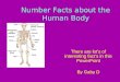 Number Facts about the Human Body There are lot’s of interesting fact’s in this PowerPoint By Gaby D