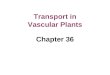 Chapter 36 Transport in Vascular Plants. Physical forces drive the transport of materials in plants over a range of distances Transport in vascular plants