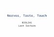 Nerves, Taste, Touch BIOL241 Last lecture. Taste Tastants taste receptor cells taste buds five primary taste sensations Properties of the taste system