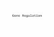 Gene Regulation. Regulation in Prokaryotes Gene Expression = gene to protein processing that functions within cells. Regulation = We are talking about