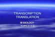 TRANSCRIPTION TRANSLATION IB BIOLOGY TOPICS 4, 5