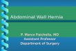 Abdominal Wall Hernia P. Marco Fisichella, MD Assistant Professor Department of Surgery