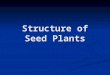 Structure of Seed Plants. Vascular Tissues What is a Vascular Tissue? What is a Vascular Tissue? Specialized tissues that conduct nutrients and water