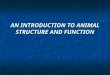 AN INTRODUCTION TO ANIMAL STRUCTURE AND FUNCTION