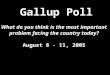 What do you think is the most important problem facing the country today? August 8 - 11, 2005 Gallup Poll