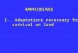 AMPHIBIANS I. Adaptations necessary for survival on land