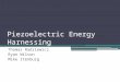 Piezoelectric Energy Harnessing Thomas Radziewicz Ryan Wilson Mike Itenburg