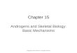 Chapter 15 Chapter 15 Androgens and Skeletal Biology: Basic Mechanisms Copyright © 2013 Elsevier Inc. All rights reserved