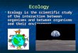 Ecology Ecology is the scientific study of the interaction between organisms and between organisms and their environment. Ecology is the scientific study