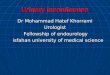 Urinary incontinence Dr Mohammad Hatef Khorrami Urologist Fellowship of endourology isfahan university of medical science