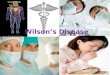 Wilson’s Disease Yurani Farfan Mr. Trefz Genetics