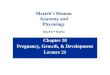 Chapter 28 Pregnancy, Growth, & Development Lecture 21 Marieb’s Human Anatomy and Physiology Marieb  Hoehn