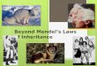 Beyond Mendel’s Laws of Inheritance Extending Mendelian genetics  Mendel worked with a simple system  peas are ____________________________ simple
