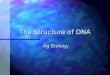 The Structure of DNA Ag Biology. What is DNA? Deoxyribonucleic AcidDeoxyribonucleic Acid Structure that stores hereditary materialStructure that stores
