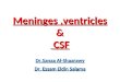 Meninges,ventricles & CSF Dr.Sanaa Al-Shaarawy Dr. Essam Eldin Salama