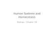 Human Systems and Homeostasis Biology - Chapter 28