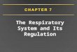The Respiratory System and Its Regulation. Respiratory System Introduction Purpose: carry O 2 to and remove CO 2 from all body tissues Carried out by
