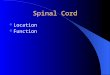 Spinal Cord Location Function. Meninges (for CNS) Meninx Primitiva – protective covering in fish Leptomeninx, - thin inner membrane in higher vertebrates