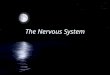 The Nervous System. Introduction FTwo organ systems, the nervous and endocrine systems, coordinate organ system activity. FThe nervous system provides