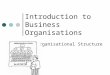 Introduction to Business Organisations Organisational Structure