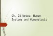 Ch. 28 Notes: Human Systems and Homeostasis. Objectives  10C analyze the levels of organization in biological systems and relate the levels to each other