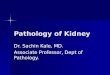 Pathology of Kidney Dr. Sachin Kale, MD. Associate Professor, Dept of Pathology