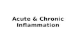 Acute & Chronic Inflammation. General Facture of Inflammation In Cell Injury – various exogenous and endogenous stimuli can cause cell injury which