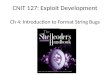 CNIT 127: Exploit Development Ch 4: Introduction to Format String Bugs