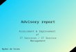 Advisory report Assessment & Improvement of IT Services / IT Service Management Nynke de Vries