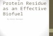The Suitability of Algae Protein Residue as an Effective Biofuel By Alexis Barragan