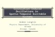 Correlation-Induced Oscillations in Spatio-Temporal Excitable Systems Andre Longtin Physics Department, University of Ottawa Ottawa, Canada