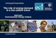 Environmental Change Institute October 20, 2015 The role of energy demand in a low carbon future Nick Eyre Environmental Change Institute