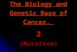 The Biology and Genetic Base of Cancer. 2 (Mutation)