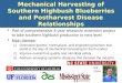Mechanical Harvesting of Southern Highbush Blueberries and Postharvest Disease Relationships  Part of comprehensive 4-year research/ extension project