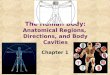 Chapter 1 The Human Body: Anatomical Regions, Directions, and Body Cavities