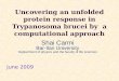 Uncovering an unfolded protein response in Trypanosoma brucei by a computational approach Shai Carmi Bar-Ilan University Deptartment of physics and the