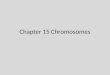 Chapter 15 Chromosomes. The chromosomal basis of sex In humans, Y chromosome determines sex XX X XY Gametes? p(son) p (daughter)