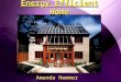 Energy Efficient Home Amanda Hemmer. Solar Panels  Brand:  Sharp  Cost:  $305.00 each (10 Total)  Description:  Sharp ND-240QCJ; 240 Watt; 65 “